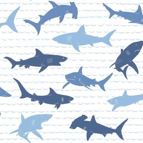 Shark CharadesWallpaper